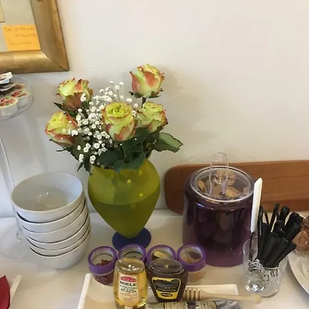 לינה וארוחת בוקר Pink Wolf